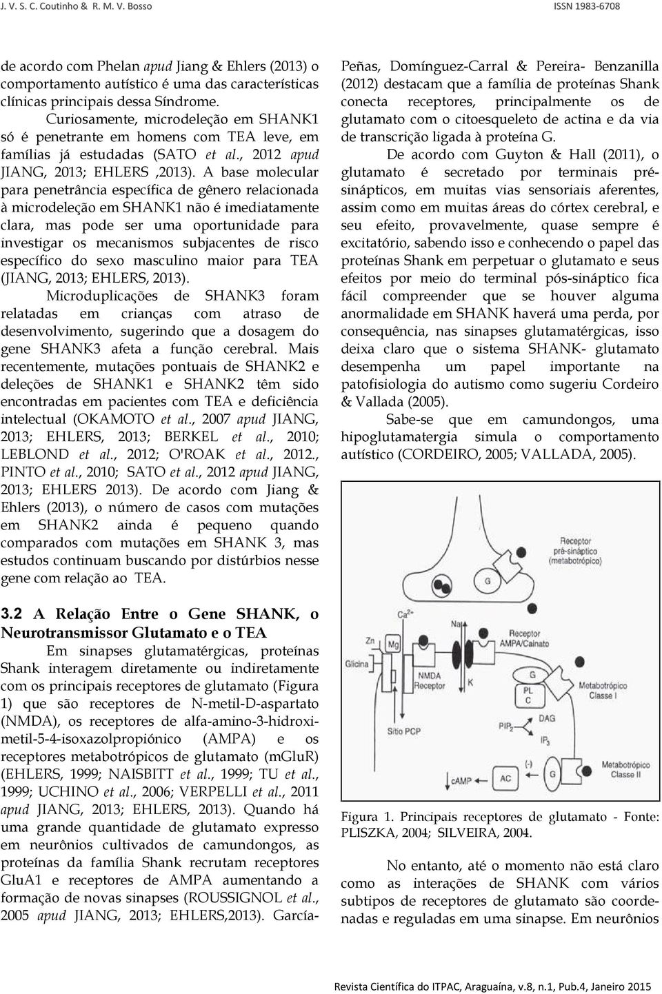 A base molecular para penetrância específica de gênero relacionada à microdeleção em SHANK1 não é imediatamente clara, mas pode ser uma oportunidade para investigar os mecanismos subjacentes de risco