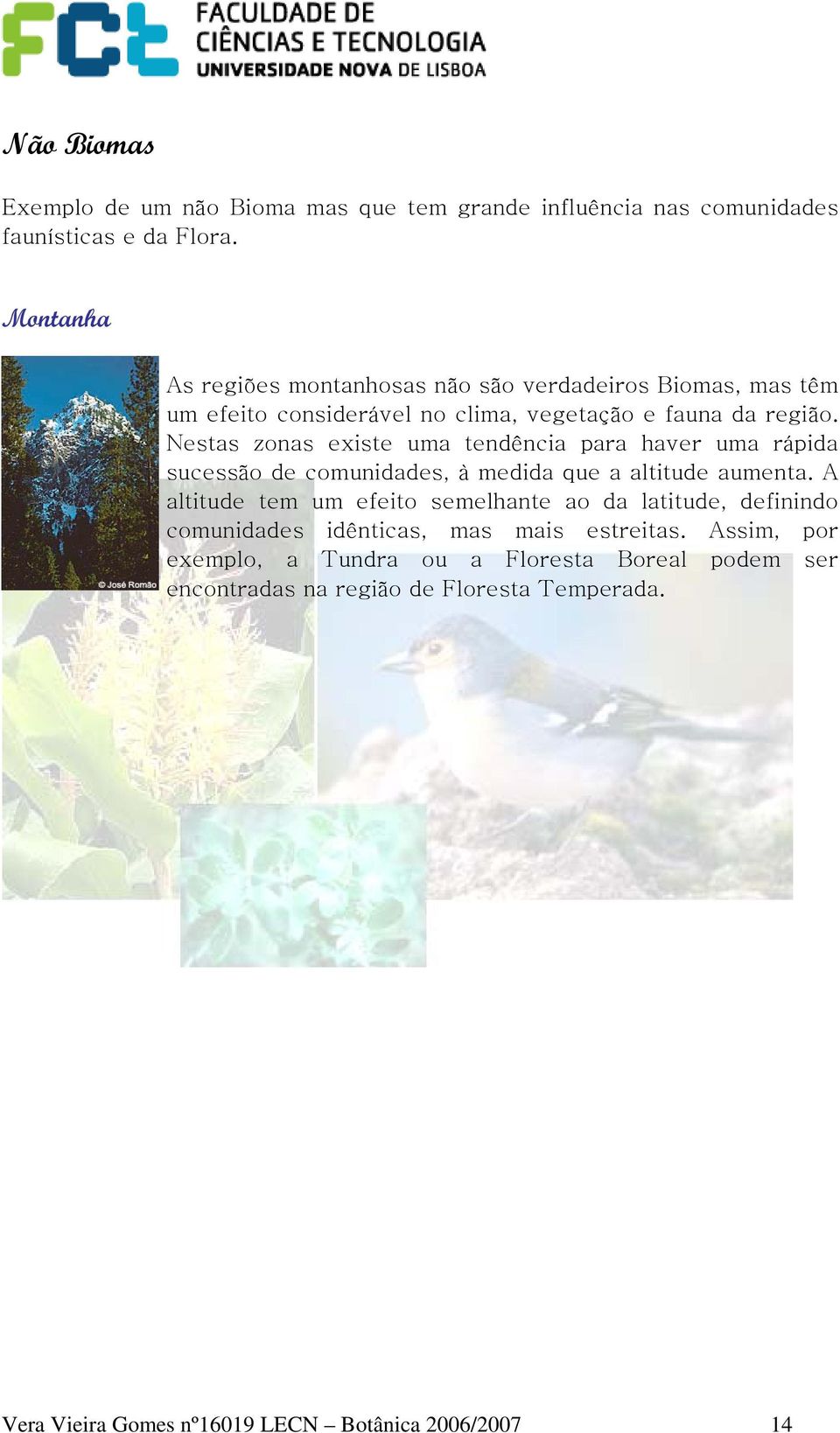 Nestas zonas existe uma tendência para haver uma rápida sucessão de comunidades, à medida que a altitude aumenta.