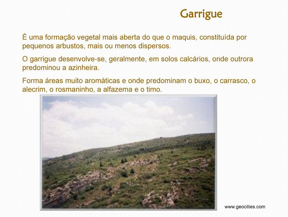 O garrigue desenvolve-se, geralmente, em solos calcários, onde outrora predominou