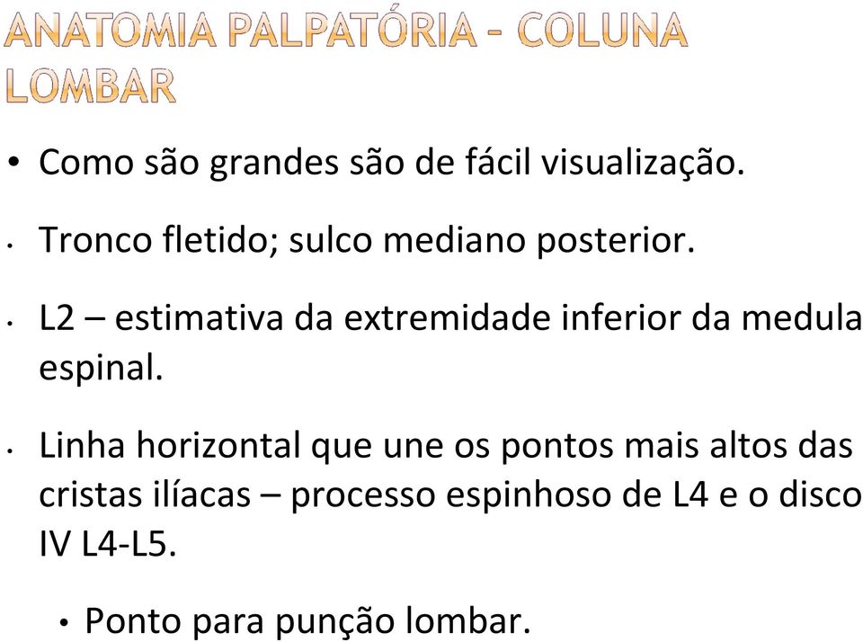 L2 estimativa da extremidade inferior da medula espinal.