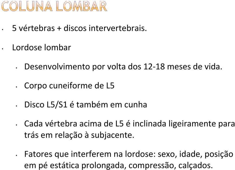 Corpo cuneiforme de L5 Disco L5/S1 étambém em cunha Cada vértebra acima de L5