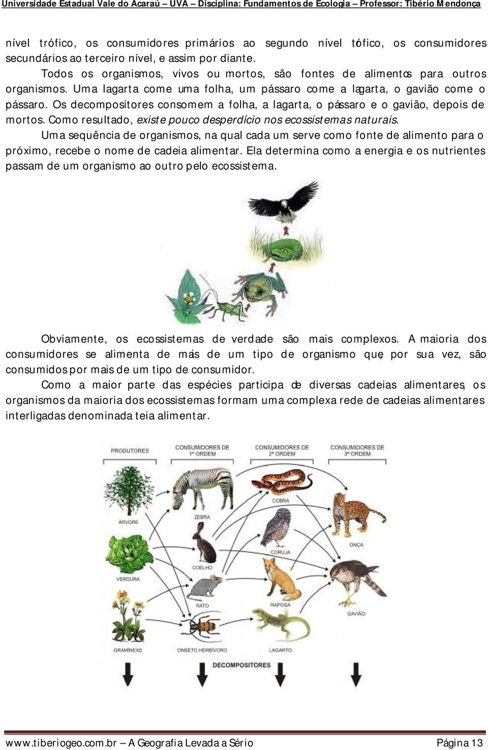 Os decompositores consomem a folha, a lagarta, o pássaro e o gavião, depois de mortos. Como resultado, existe pouco desperdício nos ecossistemas naturais.