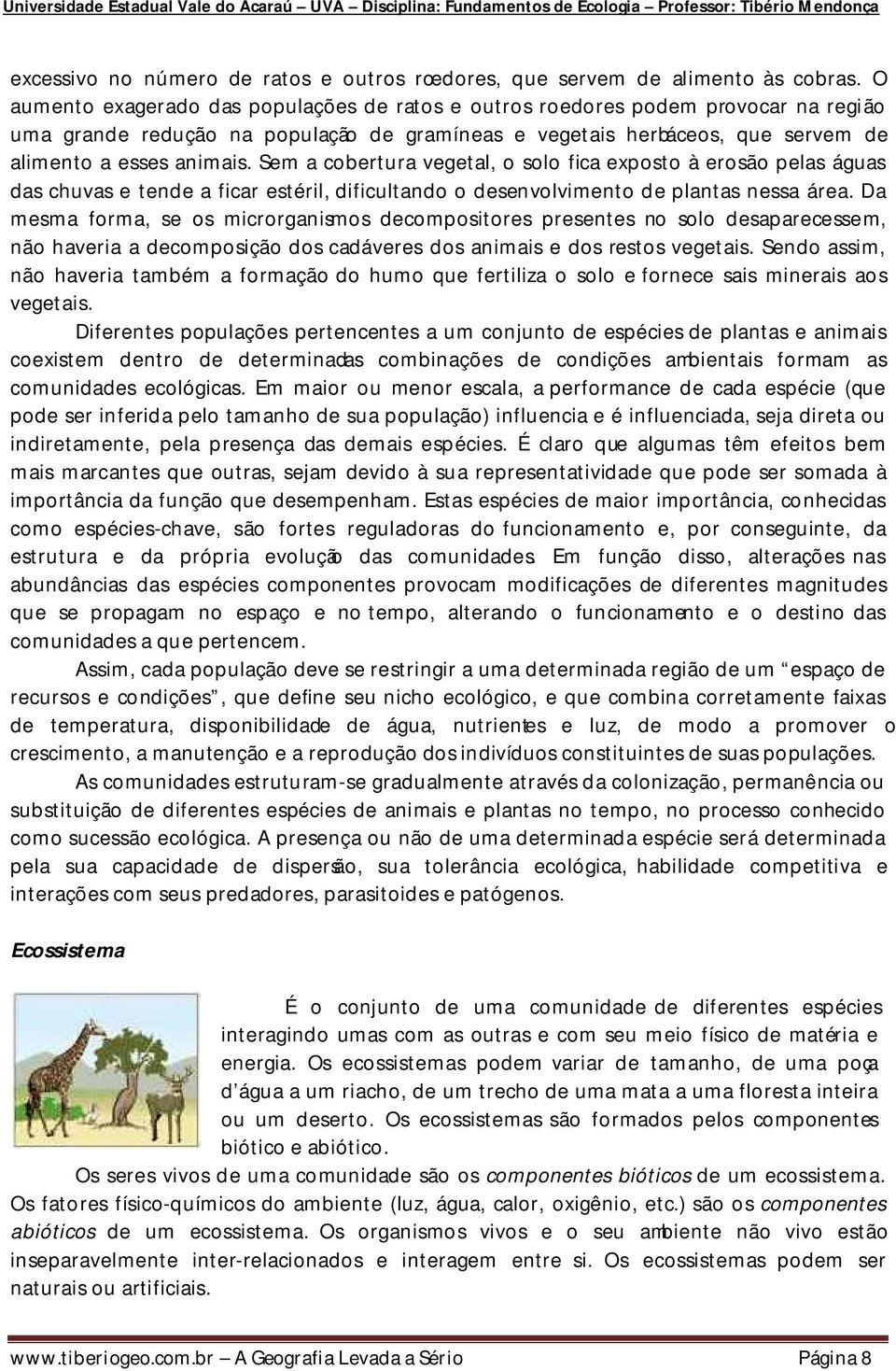 Sem a cobertura vegetal, o solo fica exposto à erosão pelas águas das chuvas e tende a ficar estéril, dificultando o desenvolvimento de plantas nessa área.