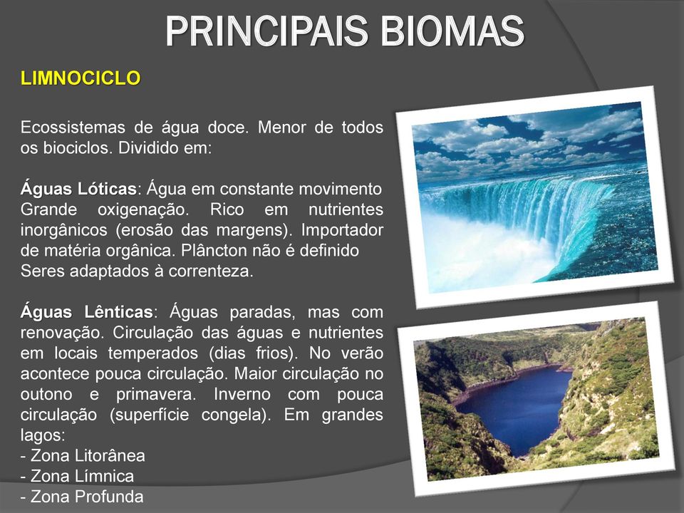 Importador de matéria orgânica. Plâncton não é definido Seres adaptados à correnteza. Águas Lênticas: Águas paradas, mas com renovação.