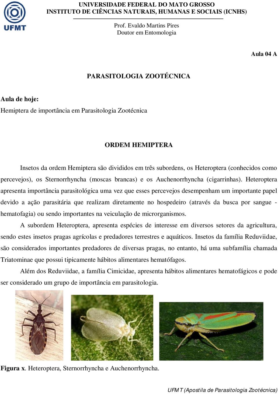 Heteroptera apresenta importância parasitológica uma vez que esses percevejos desempenham um importante papel devido a ação parasitária que realizam diretamente no hospedeiro (através da busca por