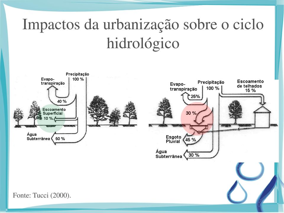 o ciclo