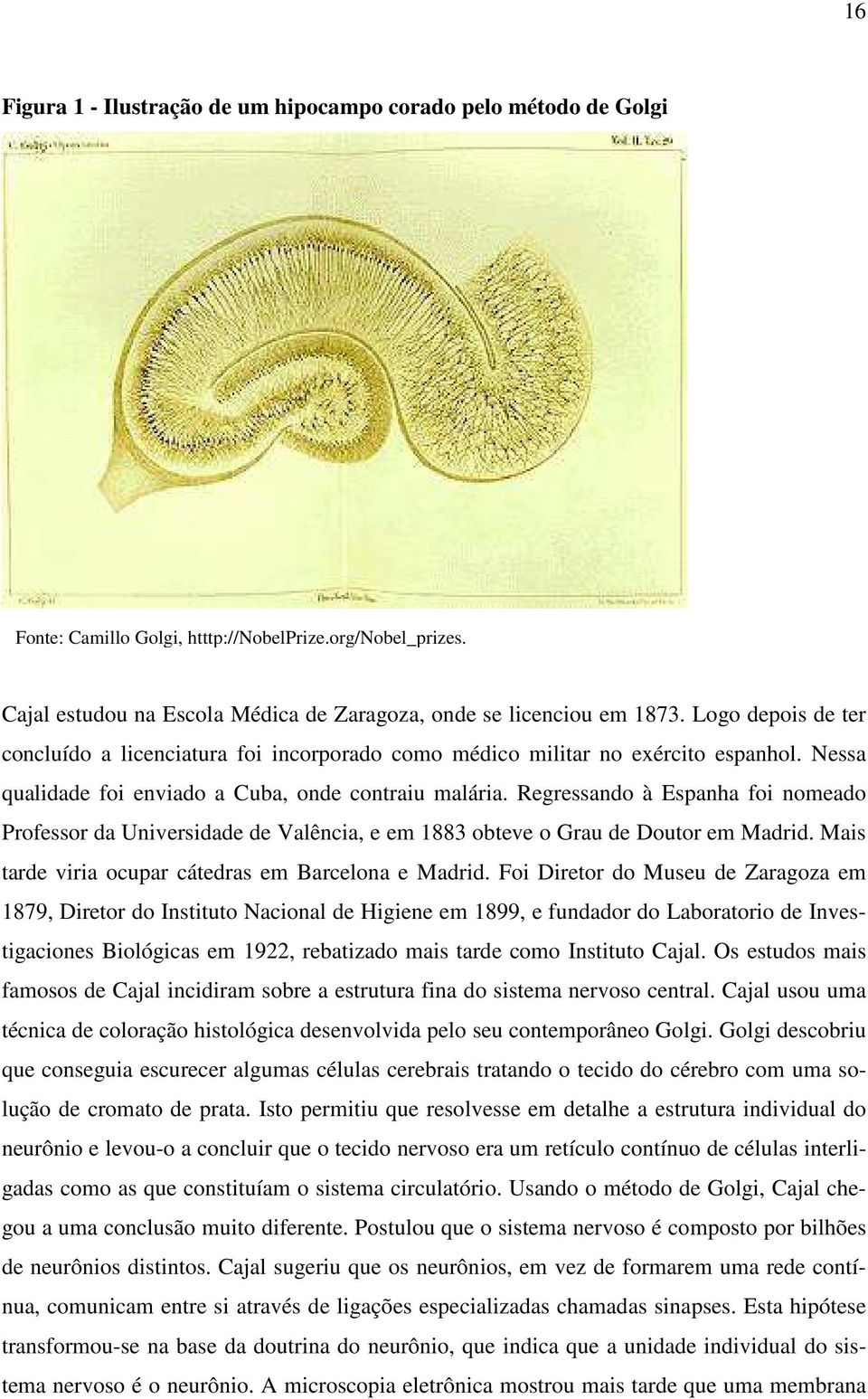 Regressando à Espanha foi nomeado Professor da Universidade de Valência, e em 1883 obteve o Grau de Doutor em Madrid. Mais tarde viria ocupar cátedras em Barcelona e Madrid.