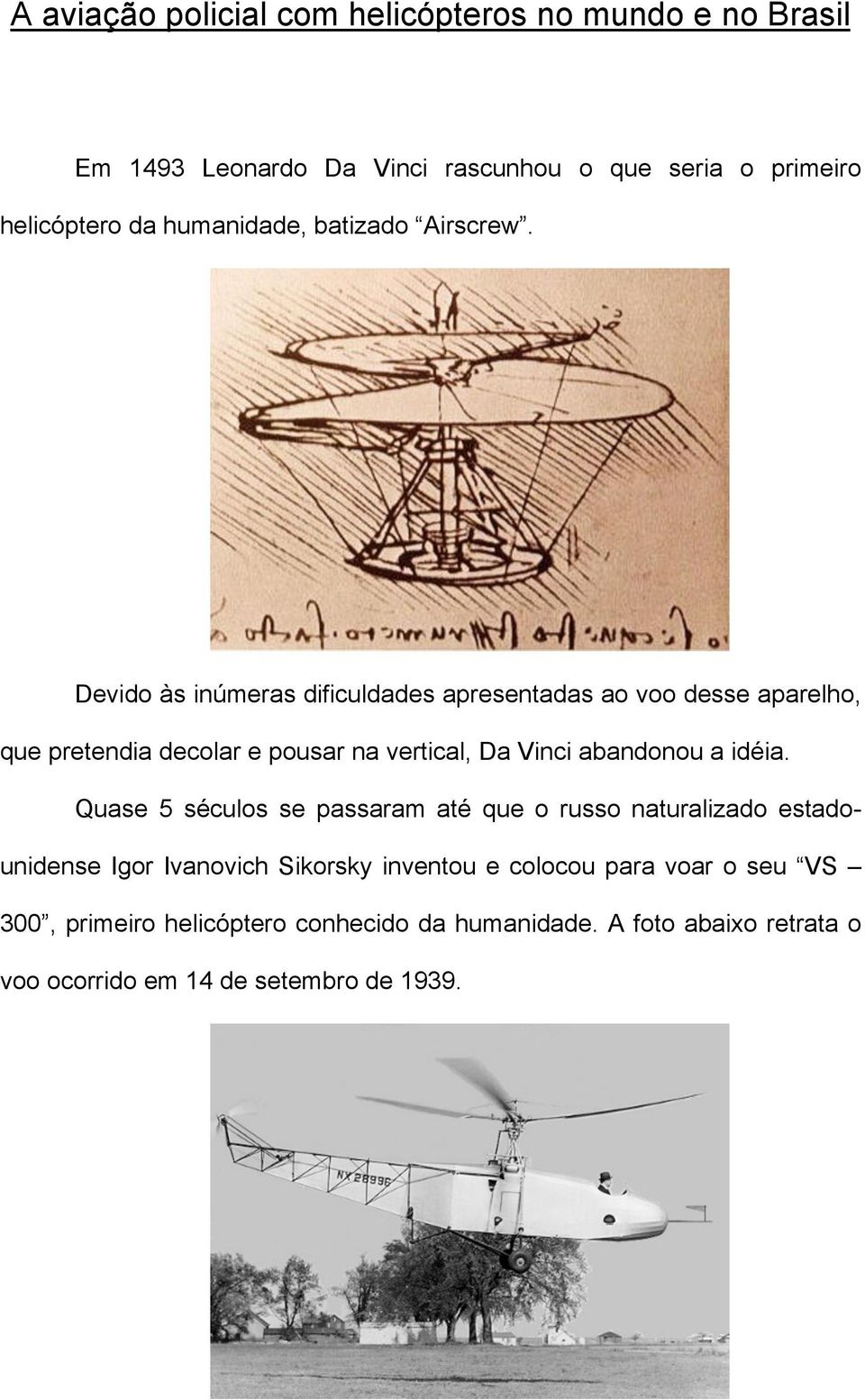 Devido às inúmeras dificuldades apresentadas ao voo desse aparelho, que pretendia decolar e pousar na vertical, Da Vinci abandonou a