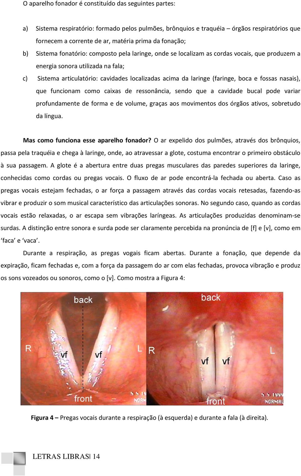 laringe (faringe, boca e fossas nasais), que funcionam como caixas de ressonância, sendo que a cavidade bucal pode variar profundamente de forma e de volume, graças aos movimentos dos órgãos ativos,