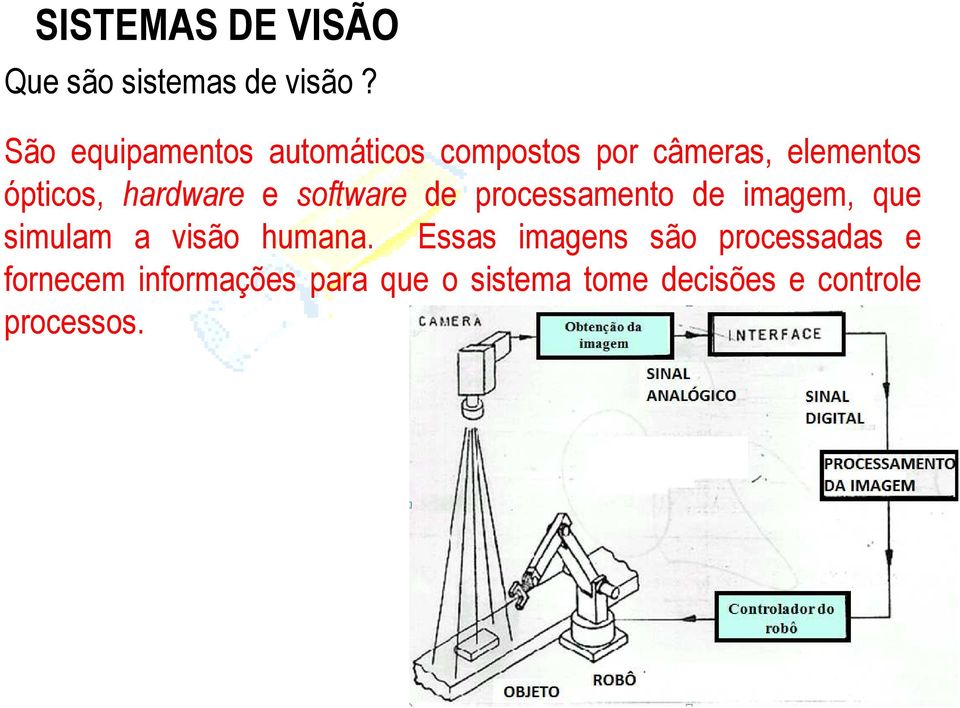 hardware e software de processamento de imagem, que simulam a visão humana.