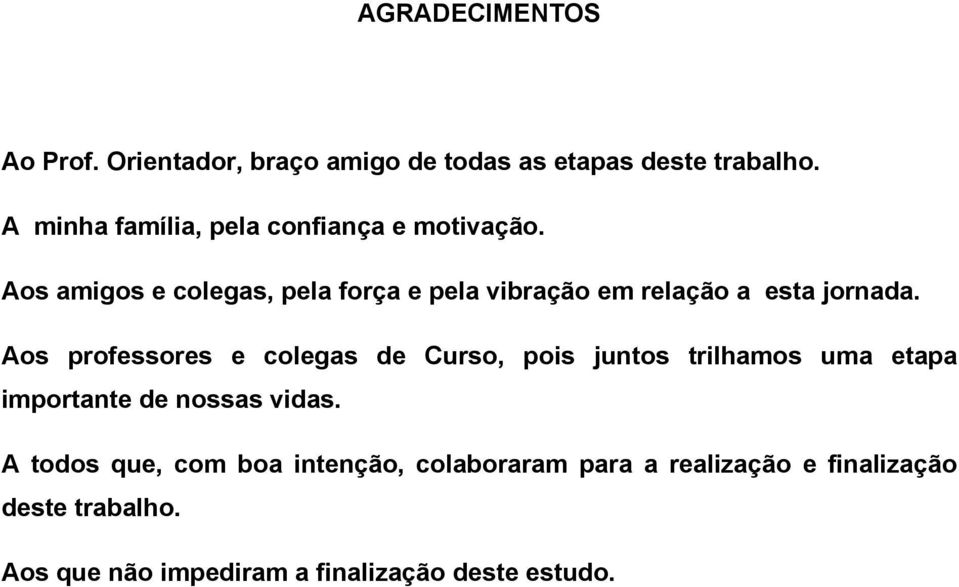 Aos amigos e colegas, pela força e pela vibração em relação a esta jornada.