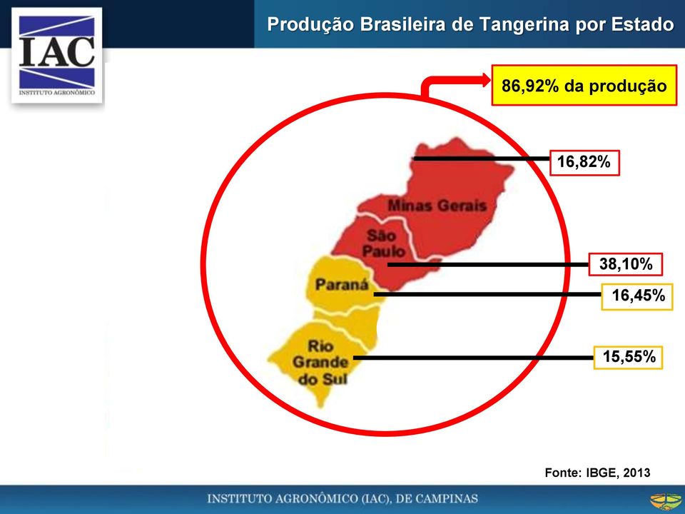 169.037 16,45% t 382.765 t 165.