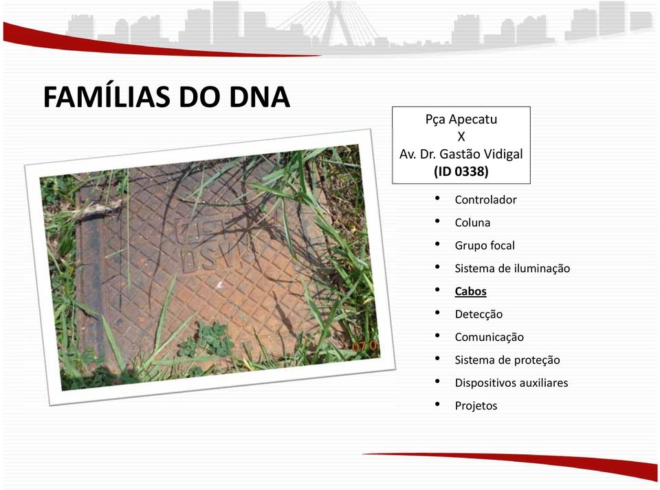 Grupo focal Sistema de iluminação Cabos Detecção