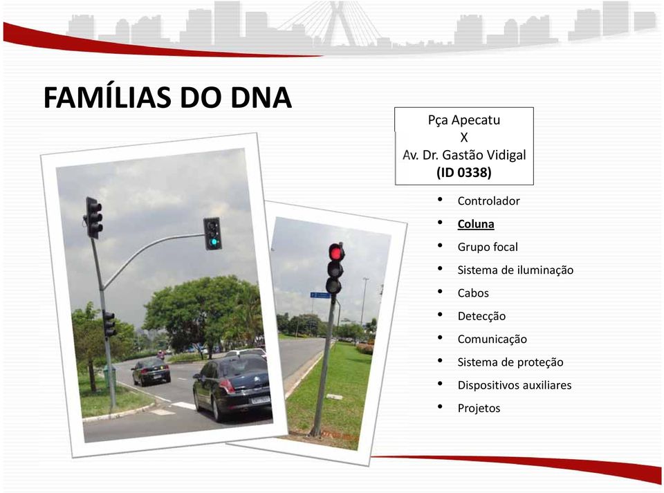 Grupo focal Sistema de iluminação Cabos Detecção