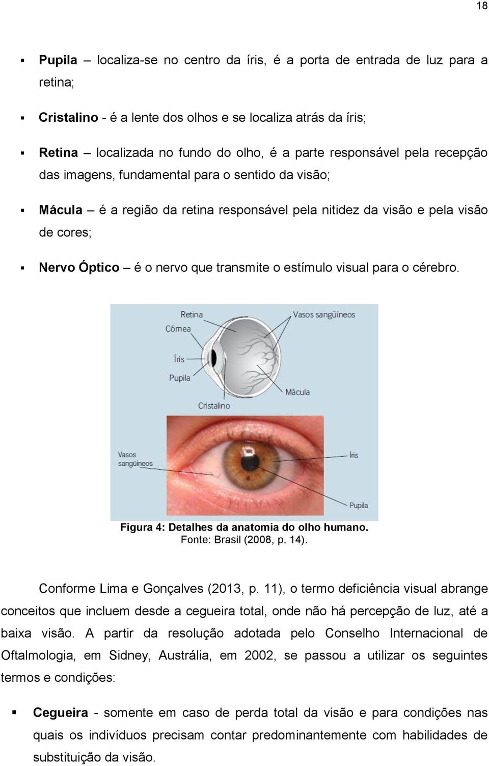 estímulo visual para o cérebro. Figura 4: Detalhes da anatomia do olho humano. Fonte: Brasil (2008, p. 14). Conforme Lima e Gonçalves (2013, p.