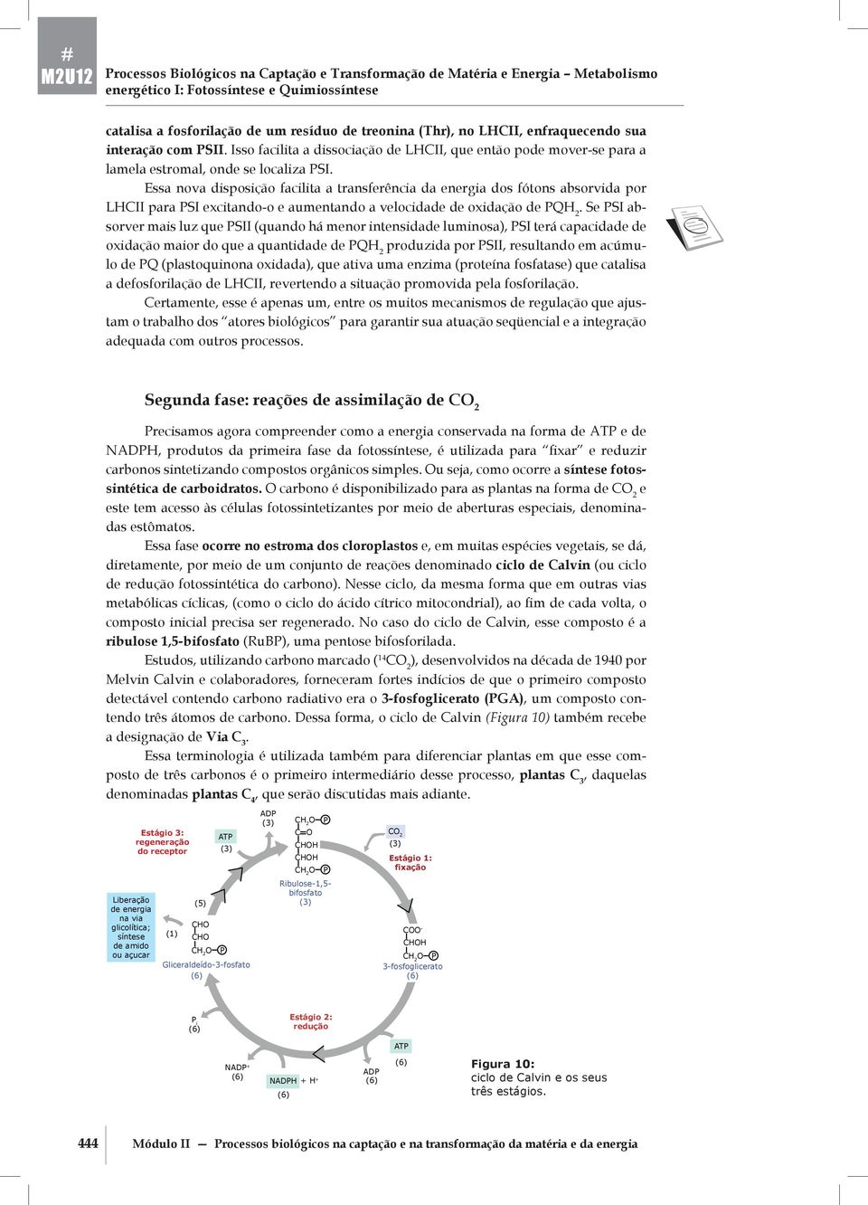 dos fótons absorvida por LII para SI excitando-o e aumentando a velocidade de oxidação de Q 2 Se SI absorver mais luz que SII (quando há menor intensidade luminosa), SI terá capacidade de oxidação