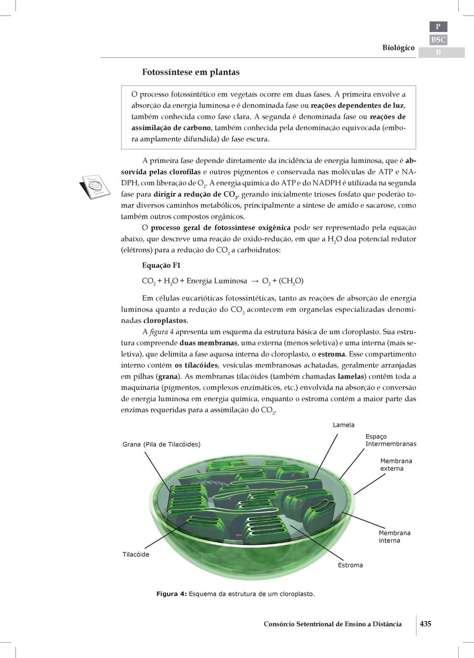 fase depende diretamente da incidência de energia luminosa, que é absorvida pelas clorofilas e outros pigmentos e conservada nas moléculas de AT e NA- D, com liberação de 2 A energia química do AT e