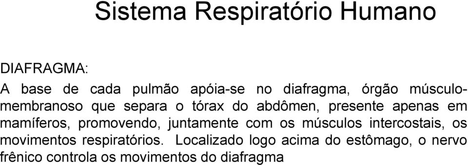 promovendo, juntamente com os músculos intercostais, os movimentos respiratórios.