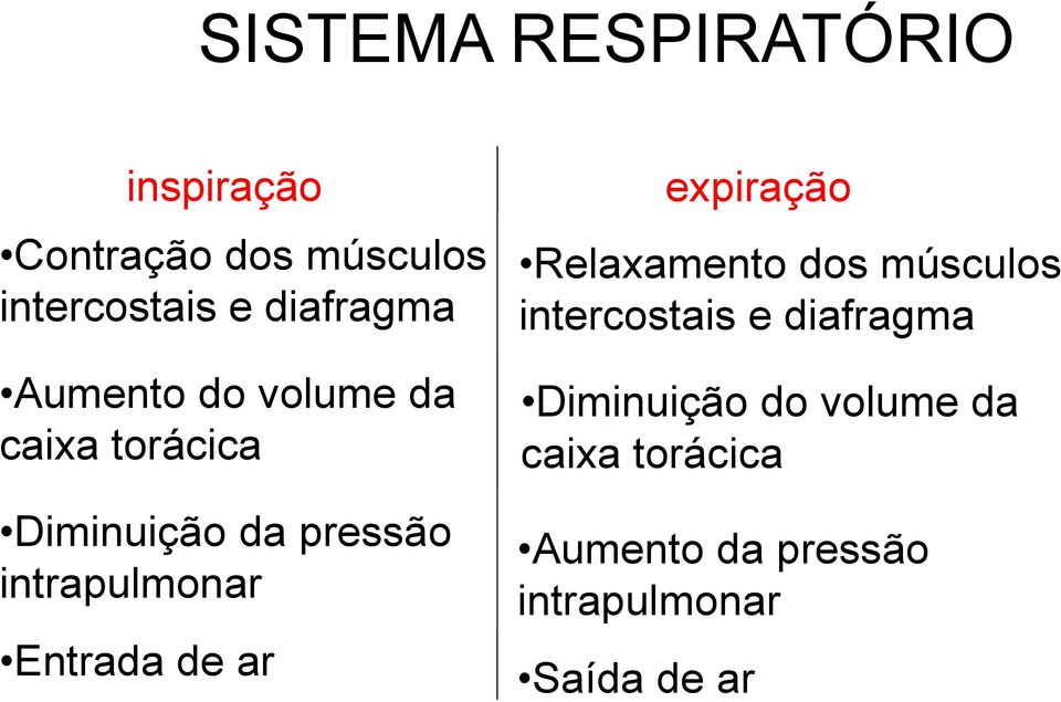 intrapulmonar Entrada de ar expiração Relaxamento dos músculos intercostais e