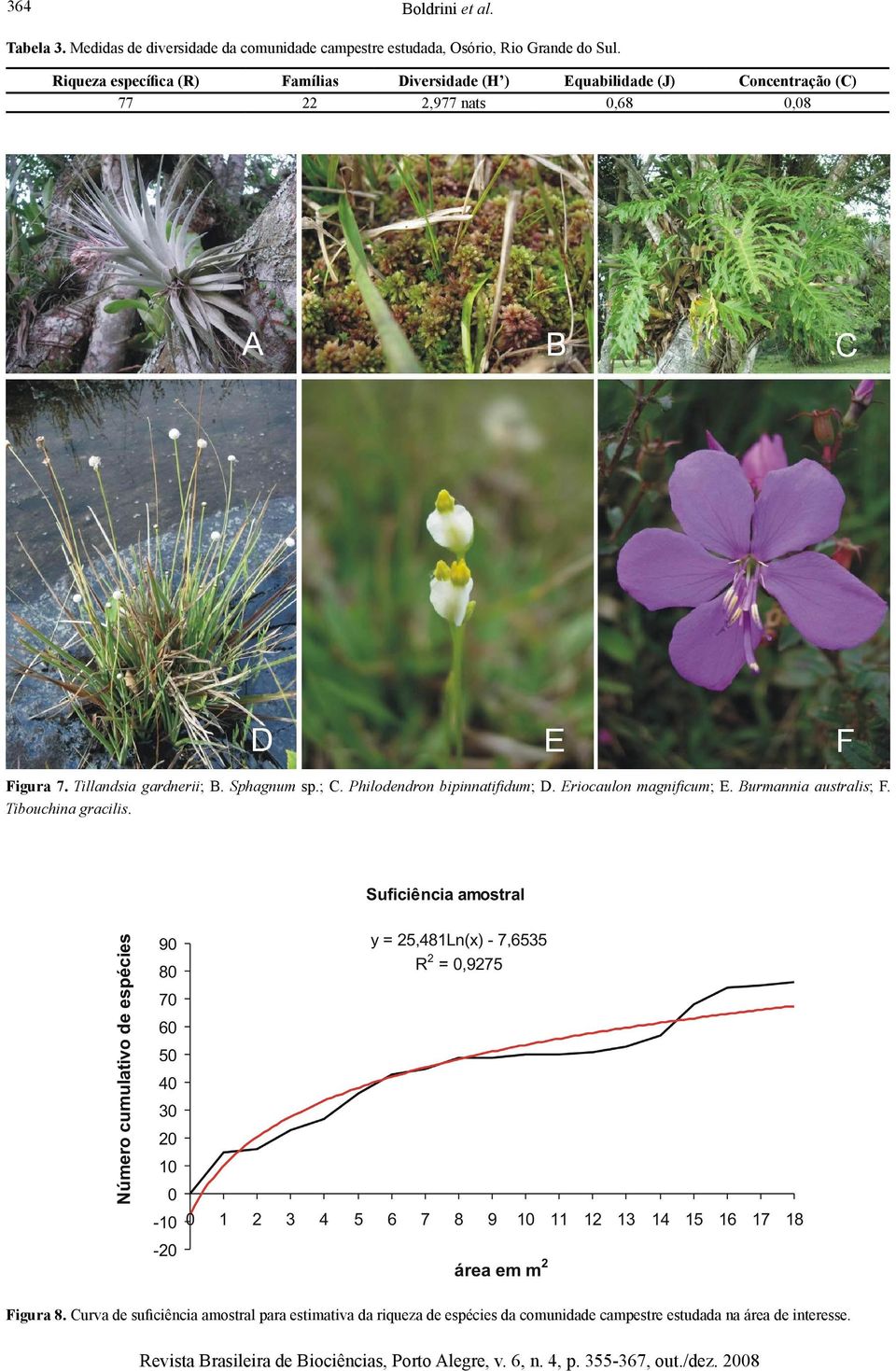 Tillandsia gardnerii; B. Sphagnum sp.; C. Philodendron bipinnatifidum; D. Eriocaulon magnificum; E. Burmannia australis; F.