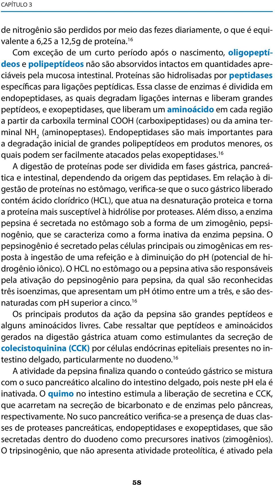 Proteínas são hidrolisadas por peptidases específicas para ligações peptídicas.