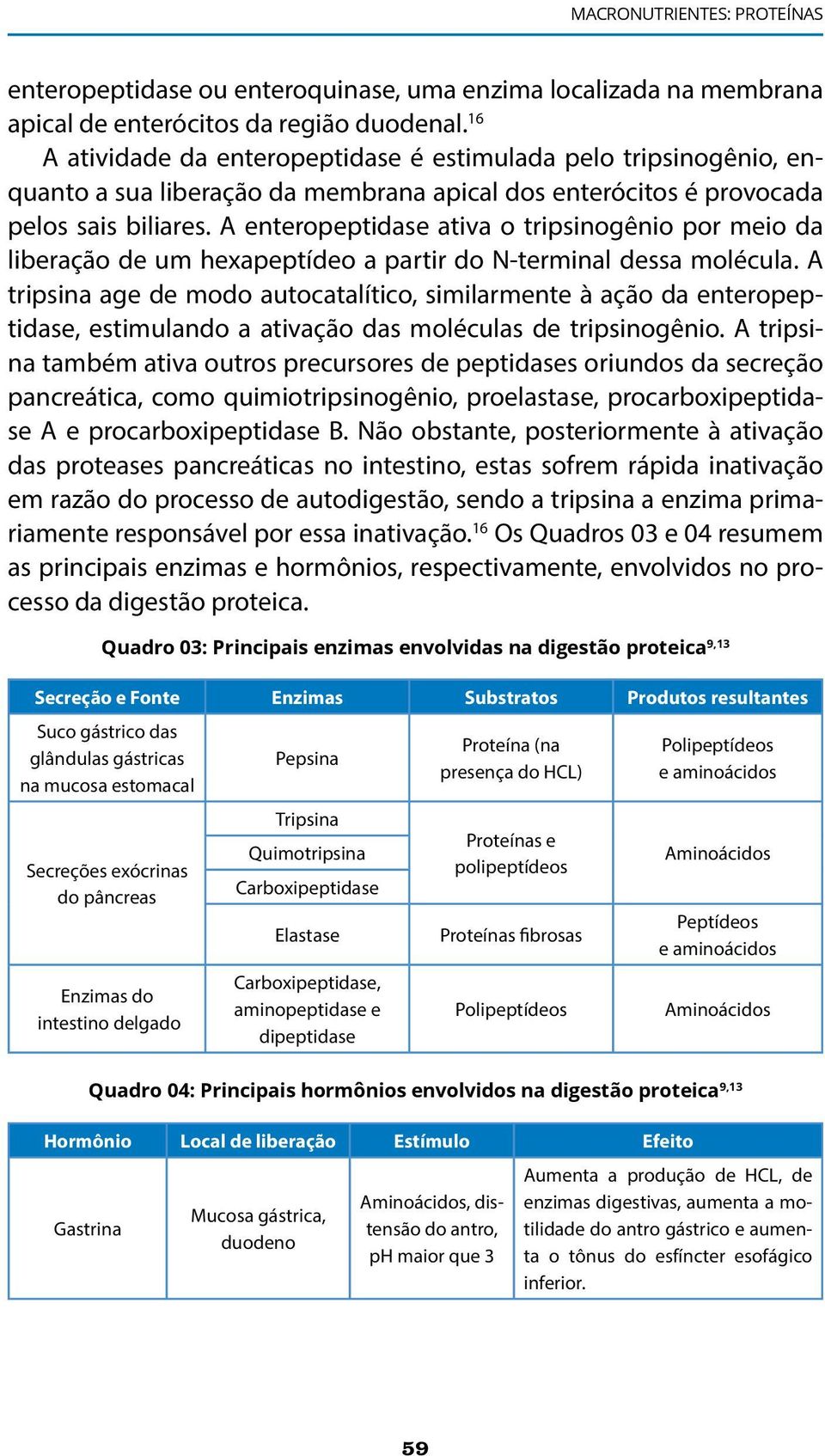 A enteropeptidase ativa o tripsinogênio por meio da liberação de um hexapeptídeo a partir do N-terminal dessa molécula.