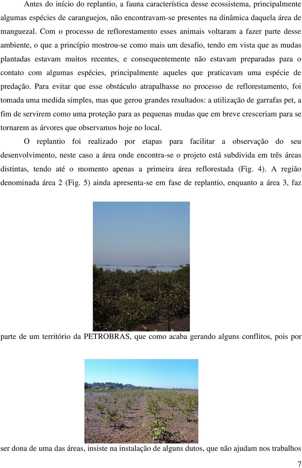 recentes, e consequentemente não estavam preparadas para o contato com algumas espécies, principalmente aqueles que praticavam uma espécie de predação.