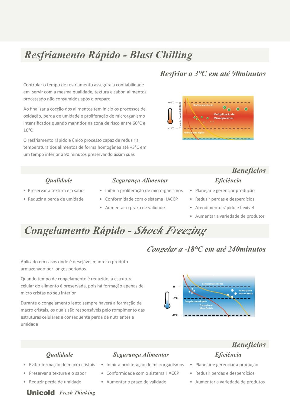 rápido é único processo capaz de reduzir a temperatura dos alimentos de forma homogênea até +3 C em um tempo inferior a 90 minutos preservando assim suas Preservar a textura e o sabor Reduzir a perda