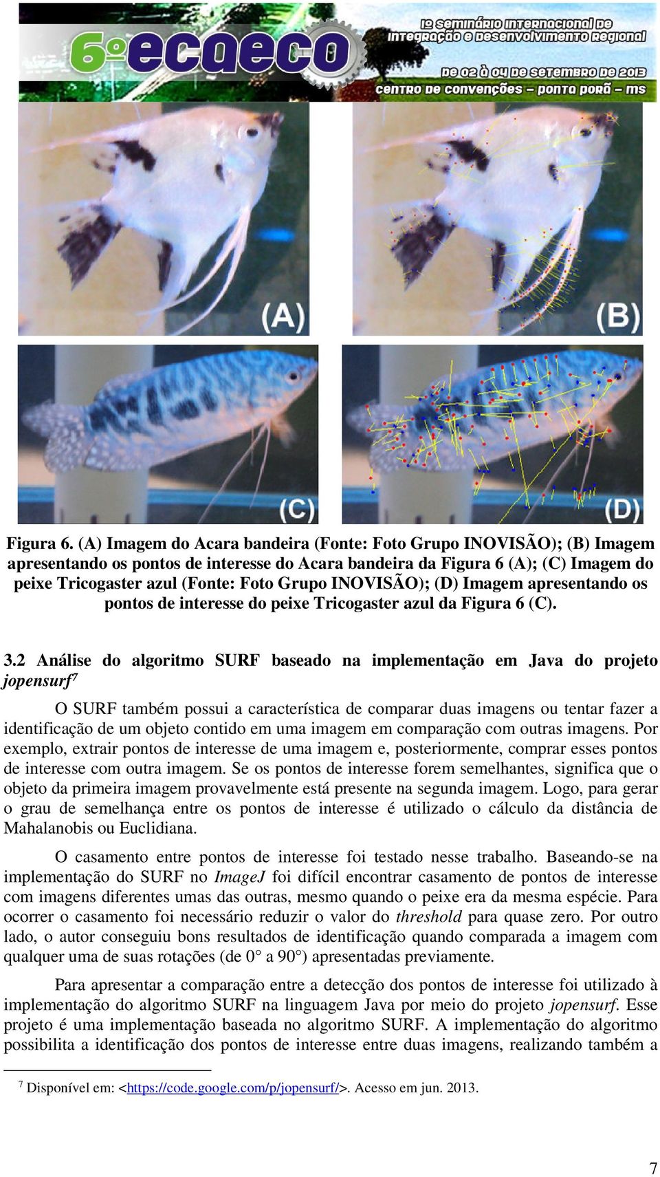 INOVISÃO); (D) Imagem apresentando os pontos de interesse do peixe Tricogaster azul da Figura 6 (C). 3.