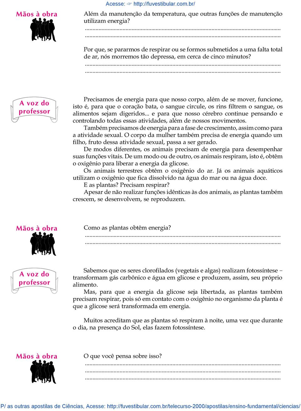 Precisamos de energia para que nosso corpo, além de se mover, funcione, isto é, para que o coração bata, o sangue circule, os rins filtrem o sangue, os alimentos sejam digeridos.