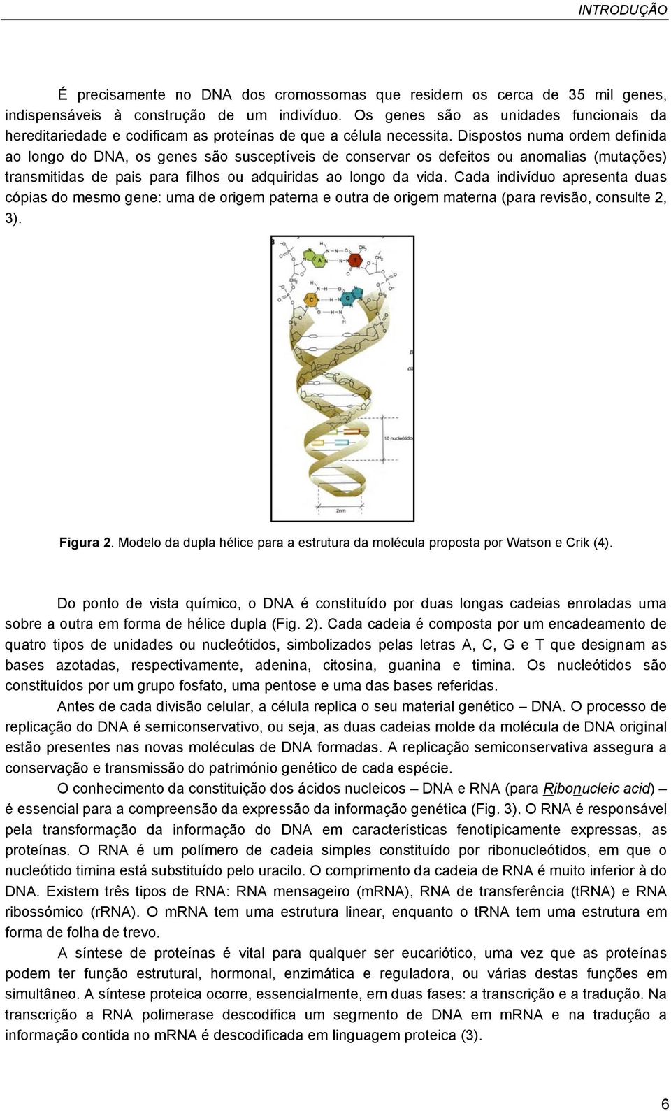 Dispostos numa ordem definida ao longo do DNA, os genes são susceptíveis de conservar os defeitos ou anomalias (mutações) transmitidas de pais para filhos ou adquiridas ao longo da vida.