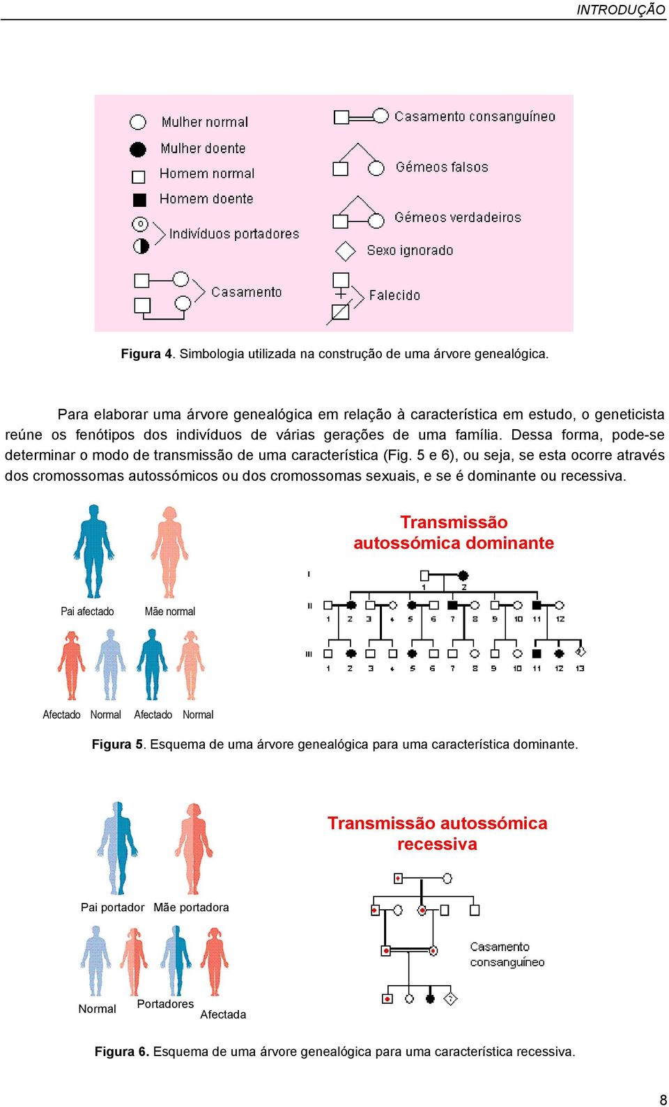 Dessa forma, pode-se determinar o modo de transmissão de uma característica (Fig.