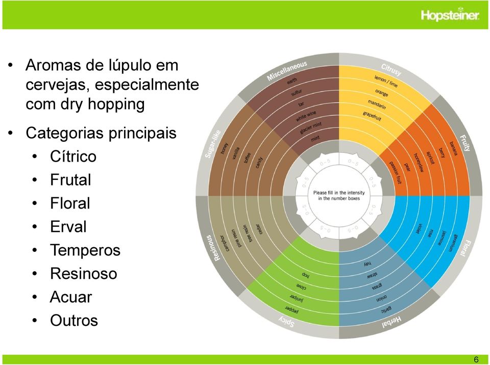 Categorias principais Cítrico