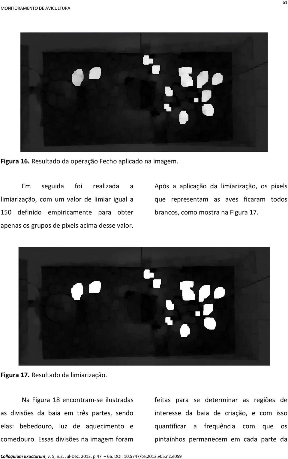 Após a aplicação da limiarização, os pixels que representam as aves ficaram todos brancos, como mostra na Figura 17. Figura 17. Resultado da limiarização.