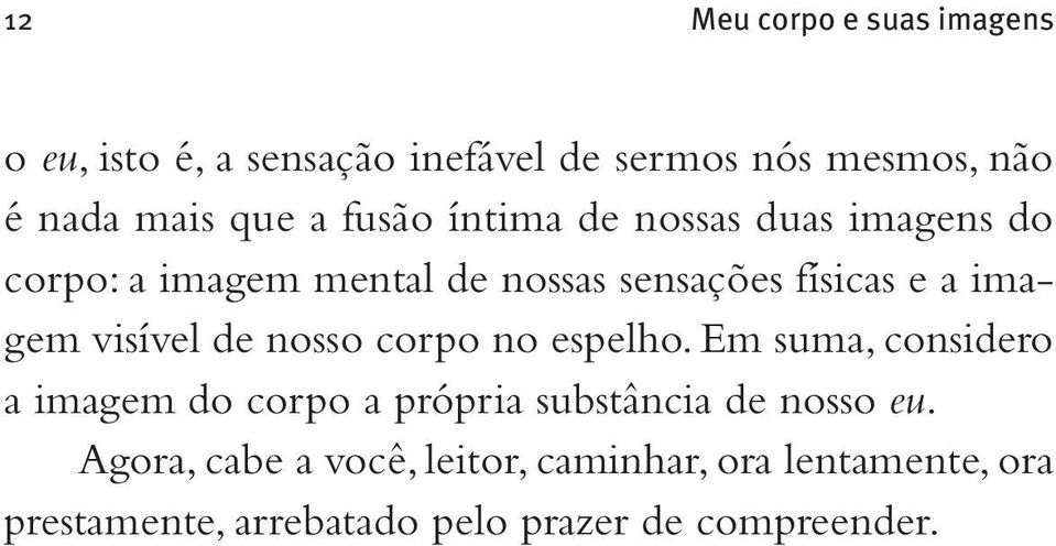 visível de nosso corpo no espelho. Em suma, considero a imagem do corpo a própria substância de nosso eu.