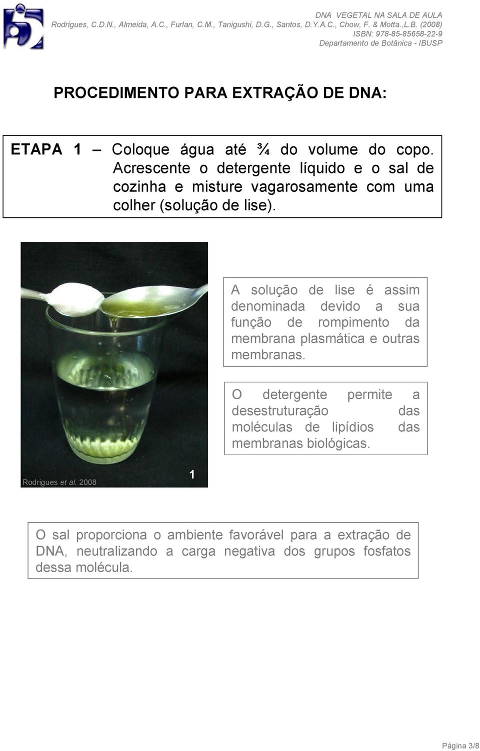 A solução de lise é assim denominada devido a sua função de rompimento da membrana plasmática e outras membranas.