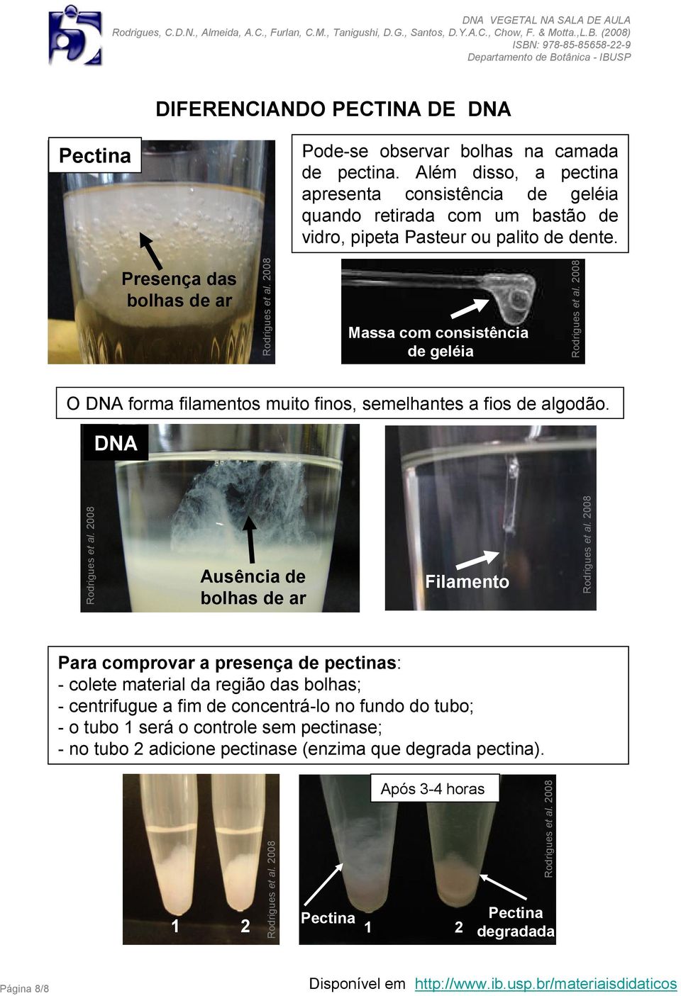 Presença das bolhas de ar Massa com consistência de geléia O forma filamentos muito finos, semelhantes a fios de algodão.