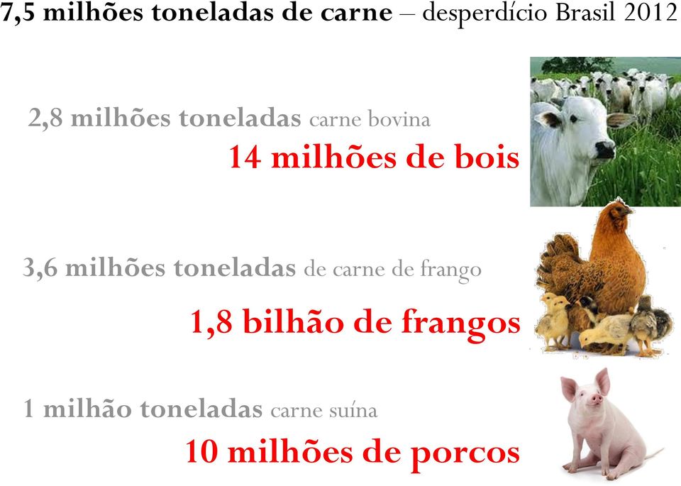 3,6 milhões toneladas de carne de frango 1,8 bilhão de