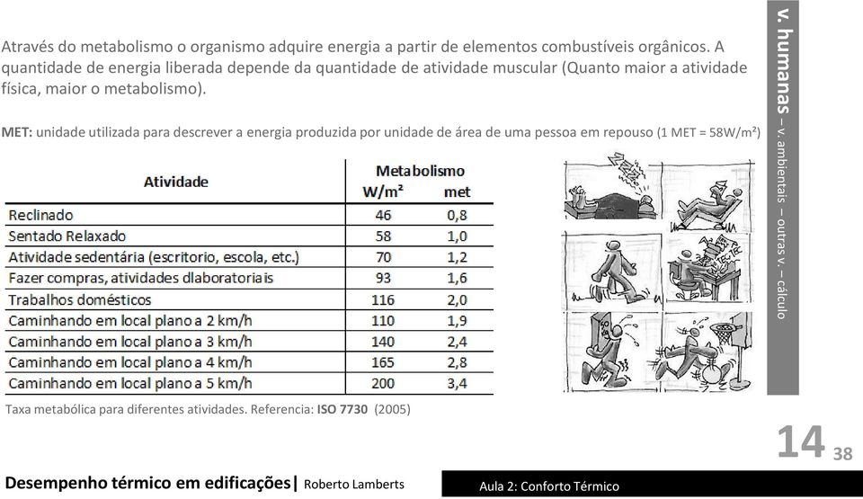 metabolismo).