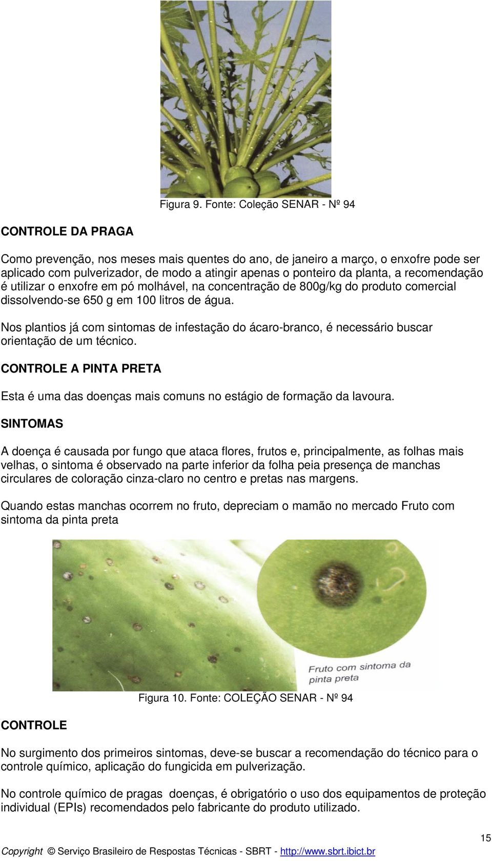 planta, a recomendação é utilizar o enxofre em pó molhável, na concentração de 800g/kg do produto comercial dissolvendo-se 650 g em 100 litros de água.