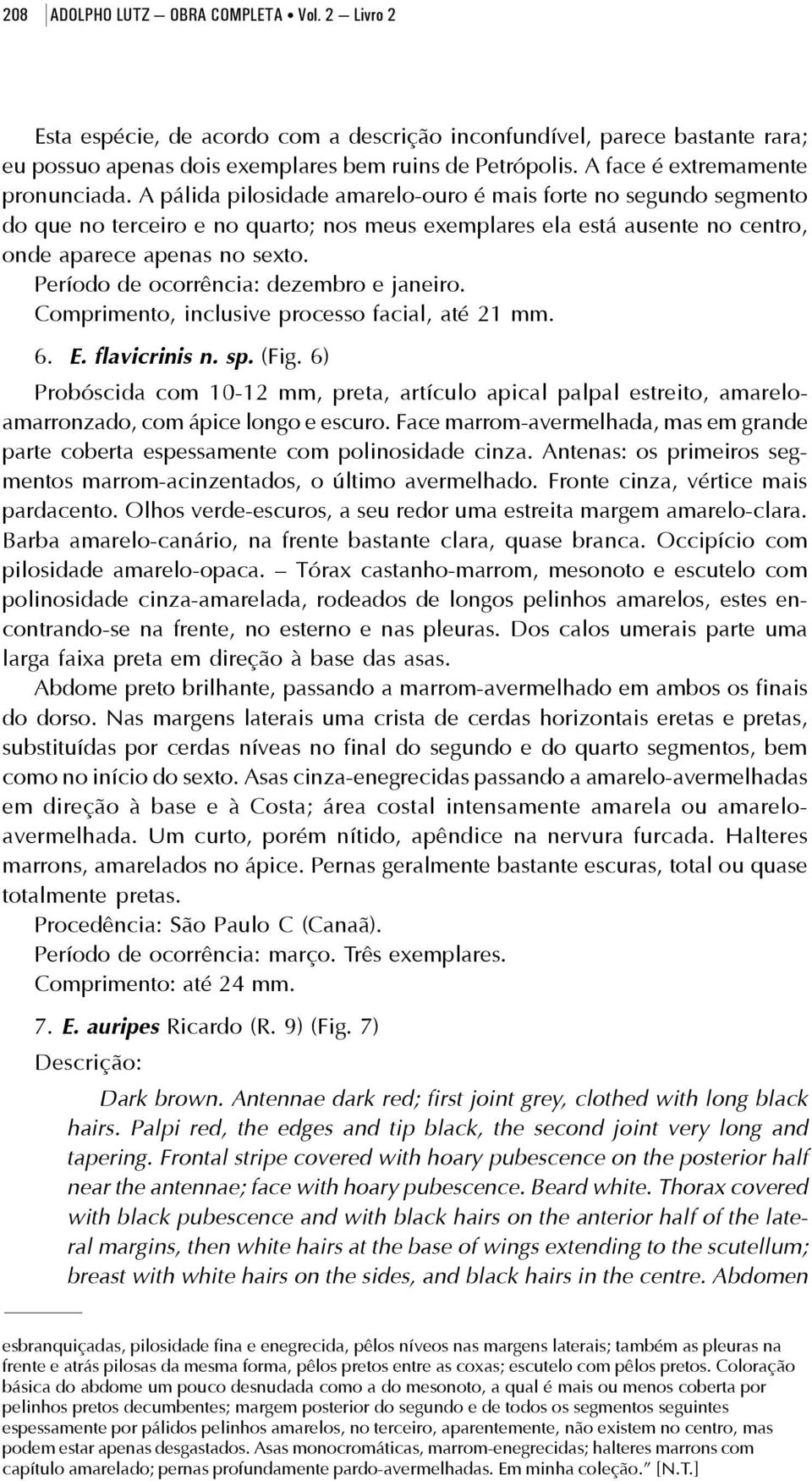 A pálida pilosidade amarelo-ouro é mais forte no segundo segmento do que no terceiro e no quarto; nos meus exemplares ela está ausente no centro, onde aparece apenas no sexto.