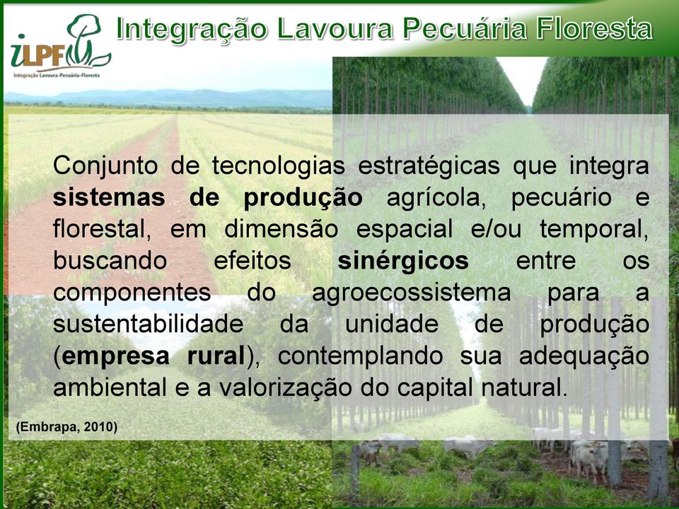 componentes do agroecossistema para a sustentabilidade da unidade de produção (empresa