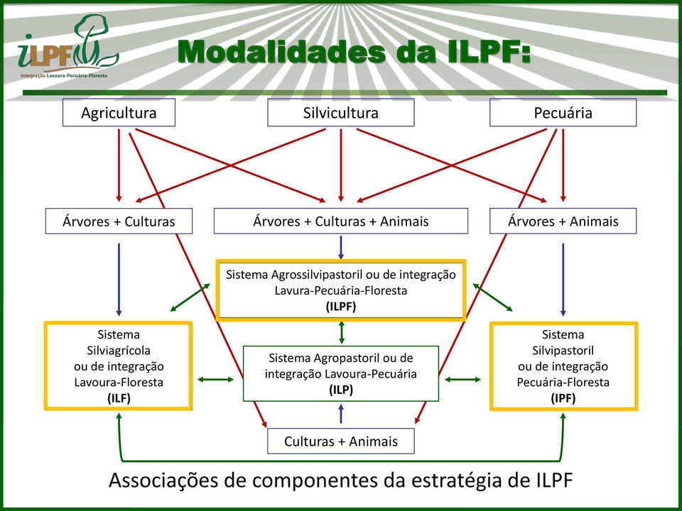 integração Lavura-Pecuária-Floresta (ILPF) Sistema Agropastoril ou de integração Lavoura-Pecuária (ILP) Sistema