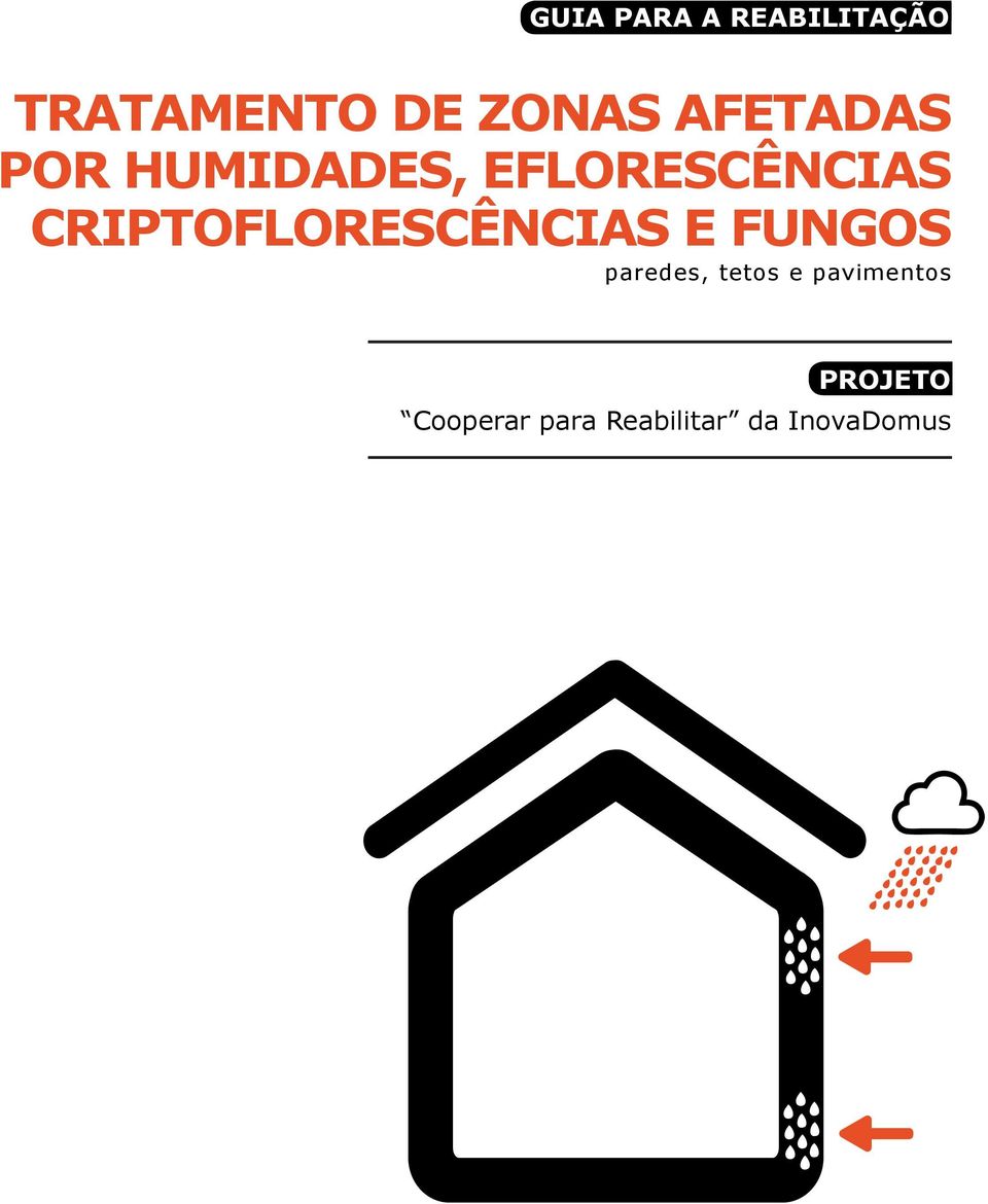 CRIPTOFLORESCÊNCIAS E FUNGOS paredes, tetos e