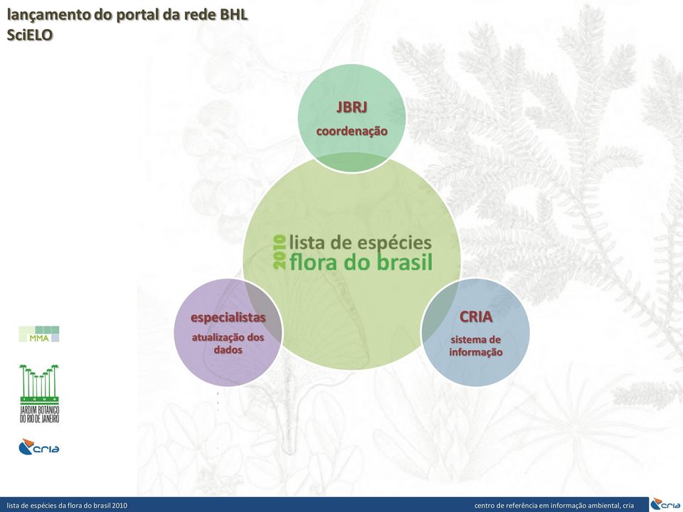 especialistas atualização dos