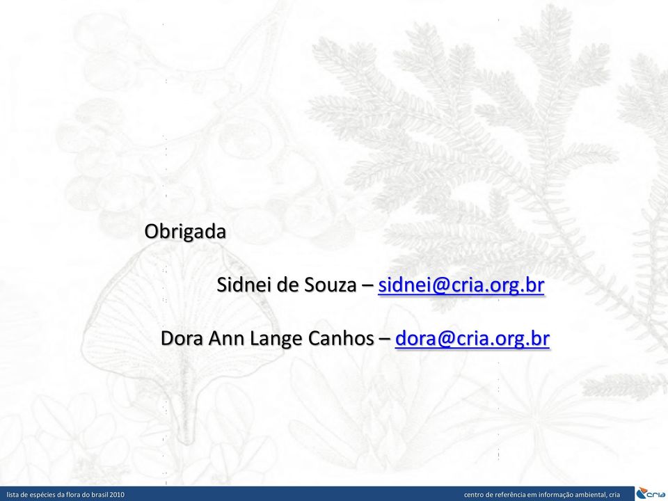 org.br Dora Ann