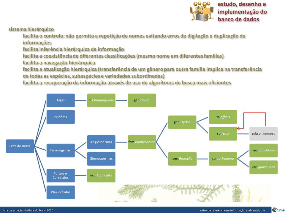 diferentes famílias) facilita a navegação hierárquica facilita a atualização hierárquica (transferência de um gênero para outra família implica na