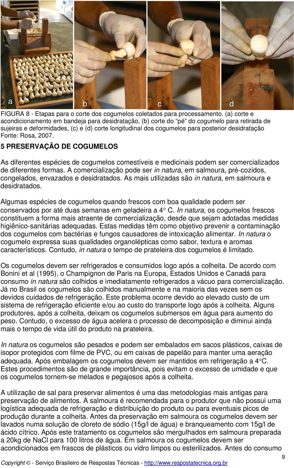 5 PRESERVAÇÃO DE COGUMELOS As diferentes espécies de cogumelos comestíveis e medicinais podem ser comercializados de diferentes formas.