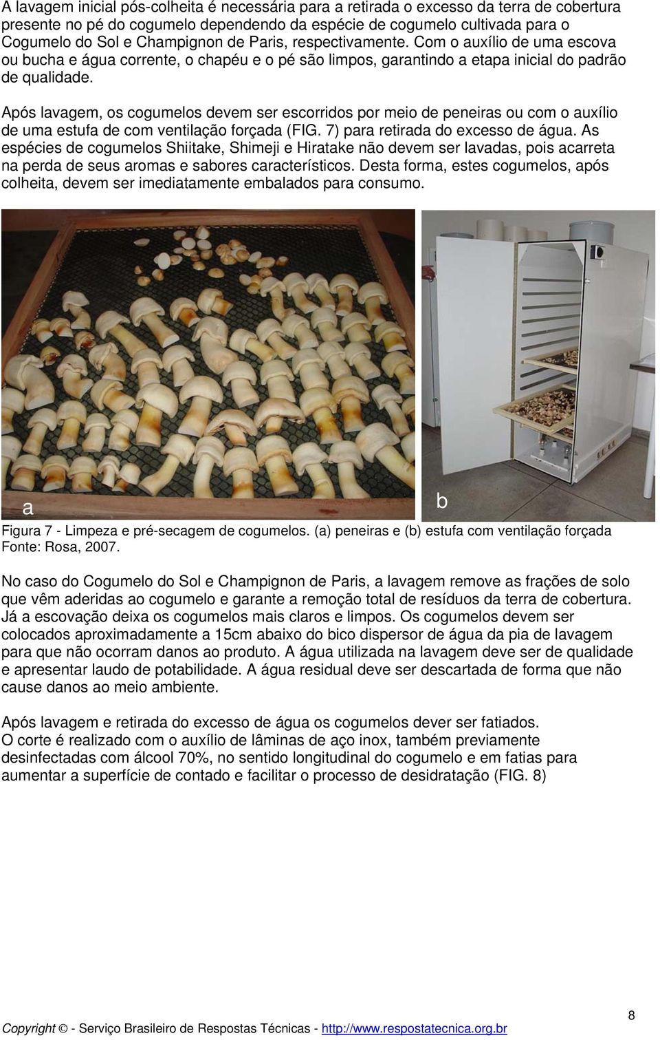 Após lavagem, os cogumelos devem ser escorridos por meio de peneiras ou com o auxílio de uma estufa de com ventilação forçada (FIG. 7) para retirada do excesso de água.