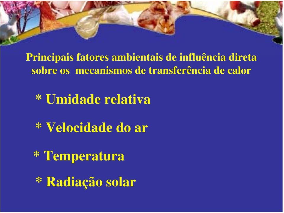 transferência de calor * Umidade relativa